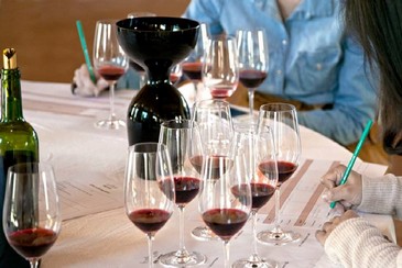 Cours oenologie route des vins vignoble Bordelais, visite cave Bordeaux Saint-Emilion, château du medoc Pauillac, Margaux grand cru