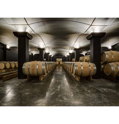 Visitez les caves à vin, découvrez la vinification d'un vin et l'élevage en barriques !