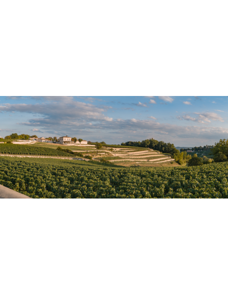 Admirez le vignoble en terrasse et son château viticole, votre lieu de rendez-vous :)
