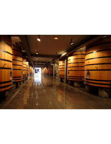 Visitez le cuvier de vinification en bois de ce Grand Cru Classé