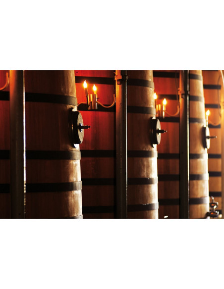 Lors de votre venue, visitez les caves à vin et comprenez l'importance du bois même durant la vinification !