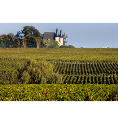 Parcourez la route des vins du Bordelais