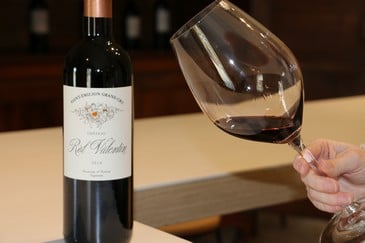 Séminaire Bordeaux route des vins, visite vignoble Bordelais, cours oenologie, cave saint emilion, cave Margaux, dégustation vin Bordeaux