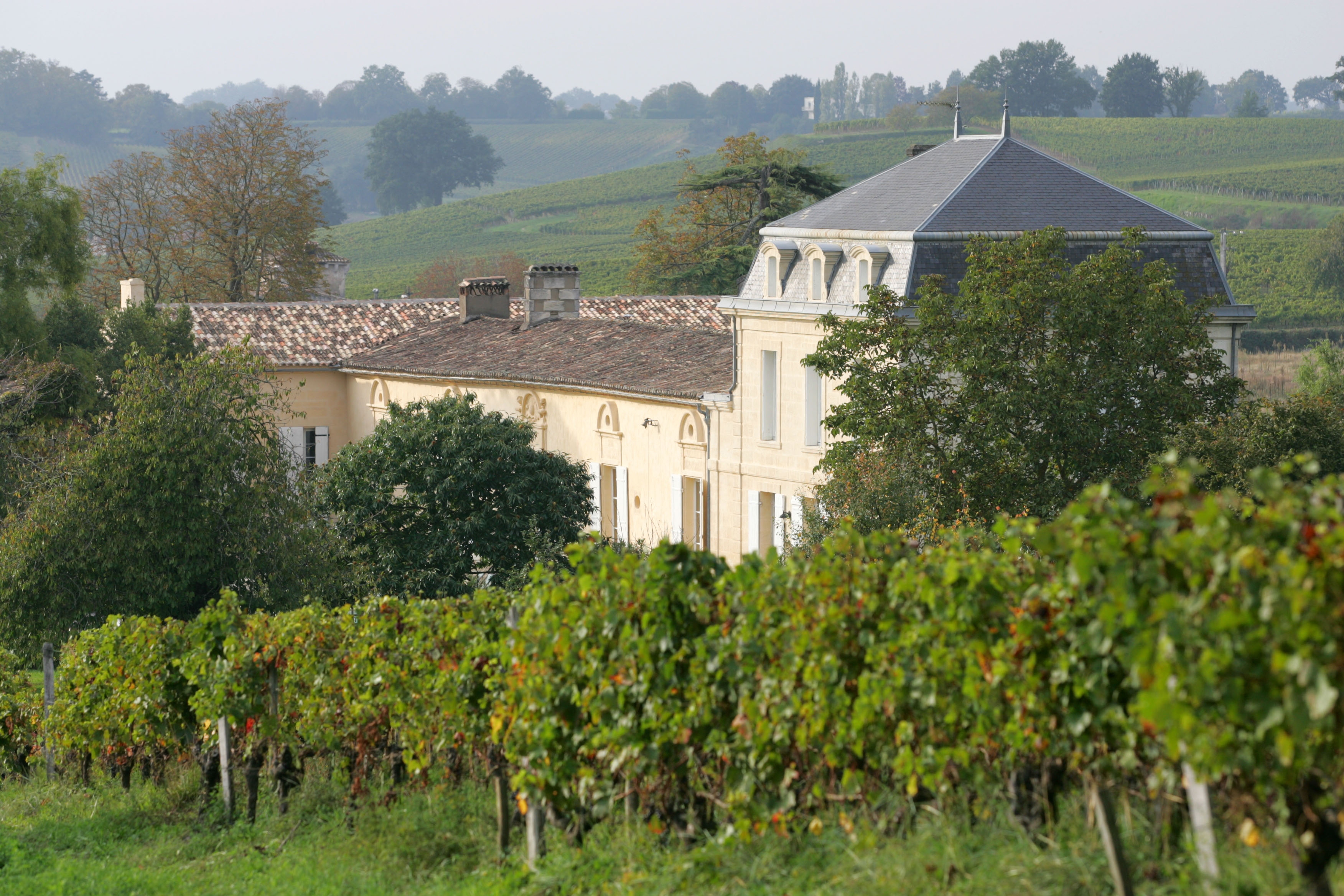 Château niché entre les vignes à Saint-Emilion